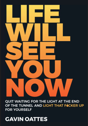 Life will see you now - quit waiting for the lightat the end of the tunnel and light that f*cker up for yourself Ebook